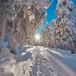 Gorski Raj