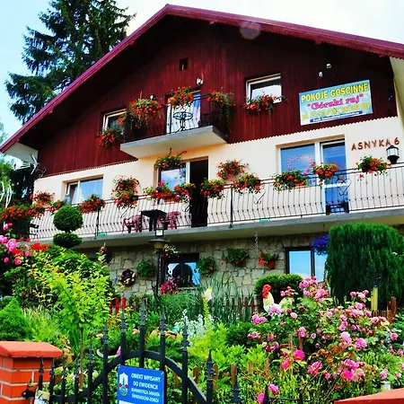 Gorski Raj Accommodatie bij particulieren Świeradów-Zdrój